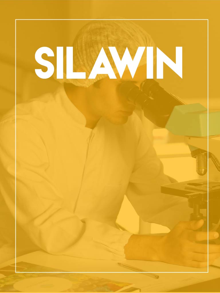 Producto Silawin
